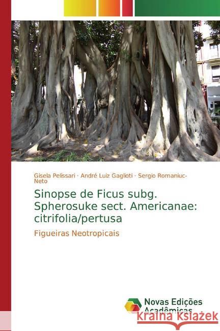 Sinopse de Ficus subg. Spherosuke sect. Americanae: citrifolia/pertusa : Figueiras Neotropicais Pelissari, Gisela; Gaglioti, André Luiz; Romaniuc-Neto, Sergio 9786139774838