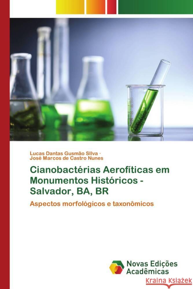 Cianobactérias Aerofíticas em Monumentos Históricos - Salvador, BA, BR Gusmão SIlva, Lucas Dantas, de Castro Nunes, José Marcos 9786139785810