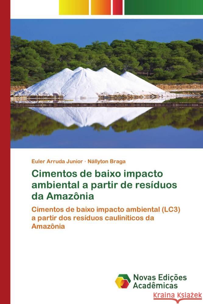 Cimentos de baixo impacto ambiental a partir de resíduos da Amazônia Arruda Junior, Euler, Braga, Nállyton 9786139793761 Novas Edições Acadêmicas