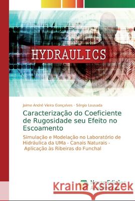 Caracterização do Coeficiente de Rugosidade seu Efeito no Escoamento Vieira Gonçalves, Jaime André 9786139801497 Novas Edicioes Academicas