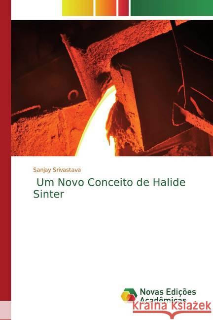 Um Novo Conceito de Halide Sinter Srivastava, Sanjay 9786139810390 Novas Edicioes Academicas