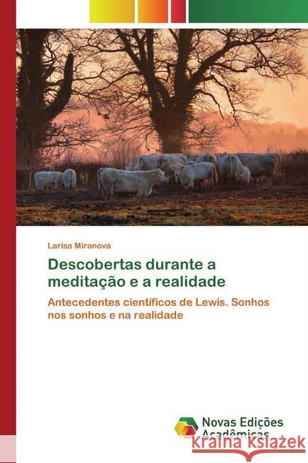 Descobertas durante a meditação e a realidade : Antecedentes científicos de Lewis. Sonhos nos sonhos e na realidade Mironova, Larisa 9786139811908 Novas Edicioes Academicas