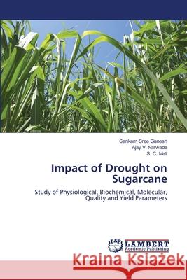 Impact of Drought on Sugarcane Sree Ganesh, Sankam 9786139835027 LAP Lambert Academic Publishing