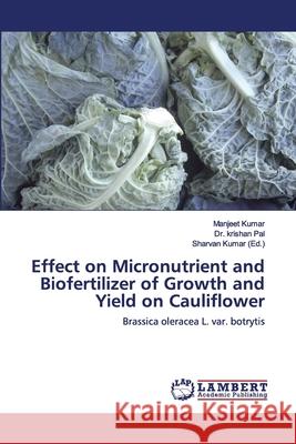 Effect on Micronutrient and Biofertilizer of Growth and Yield on Cauliflower Kumar, Manjeet 9786139911820 LAP Lambert Academic Publishing