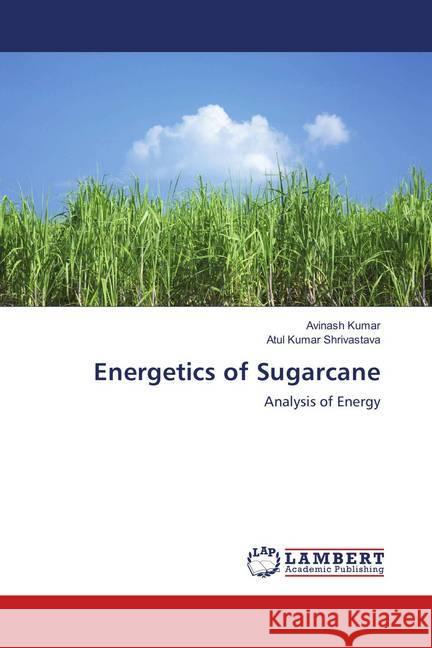 Energetics of Sugarcane : Analysis of Energy Kumar, Avinash; Shrivastava, Atul Kumar 9786139928811 LAP Lambert Academic Publishing