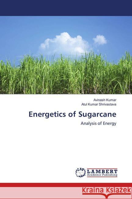 Energetics of Sugarcane : Analysis of Energy Kumar, Avinash; Shrivastava, Atul Kumar 9786139928811