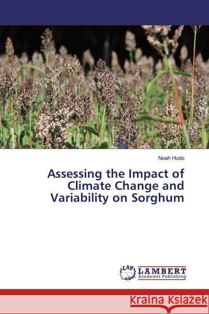 Assessing the Impact of Climate Change and Variability on Sorghum Hudo, Noah 9786139930807