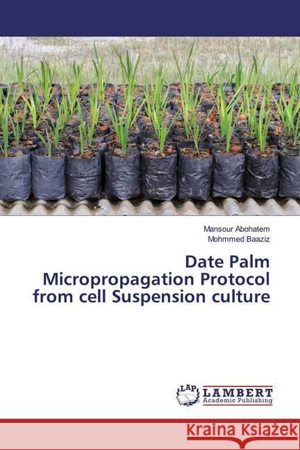 Date Palm Micropropagation Protocol from cell Suspension culture Abohatem, Mansour; Baaziz, Mohmmed 9786139987832 LAP Lambert Academic Publishing