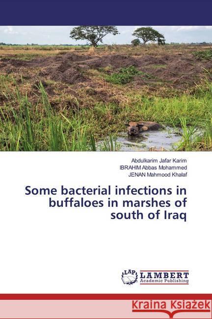 Some bacterial infections in buffaloes in marshes of south of Iraq Jafar Karim, Abdulkarim; Abbas Mohammed, IBRAHIM; Mahmood Khalaf, JENAN 9786139995325