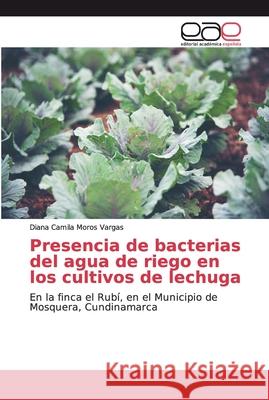 Presencia de bacterias del agua de riego en los cultivos de lechuga Moros Vargas, Diana Camila 9786200015716 Editorial Académica Española
