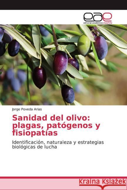 Sanidad del olivo: plagas, patógenos y fisiopatías : Identificación, naturaleza y estrategias biológicas de lucha Poveda Arias, Jorge 9786200021106