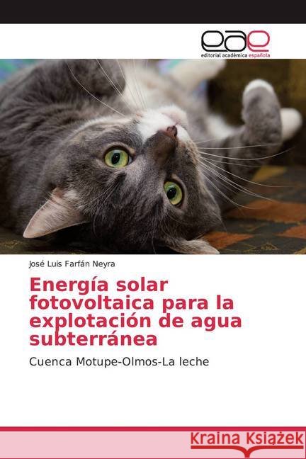 Energía solar fotovoltaica para la explotación de agua subterránea : Cuenca Motupe-Olmos-La leche Farfán Neyra, José Luis 9786200033376