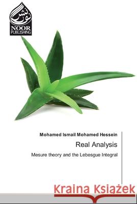Real Analysis Mohamed Ismail Mohame 9786200069375