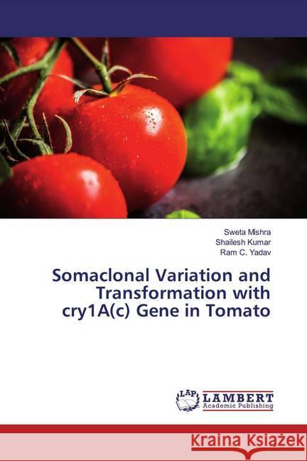 Somaclonal Variation and Transformation with cry1A(c) Gene in Tomato Mishra, Sweta; Kumar, Shailesh; Yadav, Ram C. 9786200216168 LAP Lambert Academic Publishing