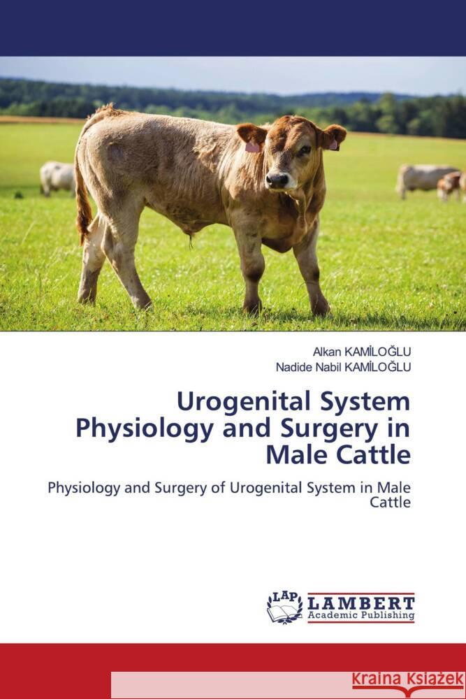 Urogenital System Physiology and Surgery in Male Cattle Kamiloglu, Alkan, KAMILOGLU, Nadide Nabil 9786200227263 LAP Lambert Academic Publishing