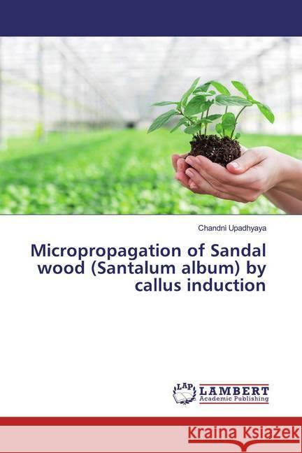 Micropropagation of Sandal wood (Santalum album) by callus induction Upadhyaya, Chandni 9786200231406