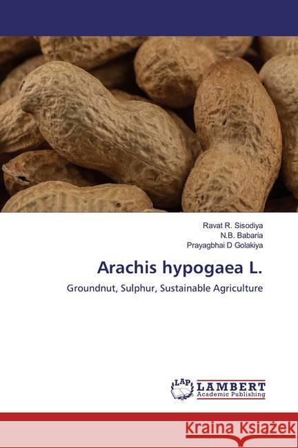 Arachis hypogaea L. : Groundnut, Sulphur, Sustainable Agriculture Sisodiya, Ravat R.; Babaria, N. B.; Golakiya, Prayagbhai D 9786200285812