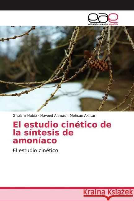 El estudio cinético de la síntesis de amoníaco : El estudio cinético Habib, Ghulam; Ahmad, Naveed; Akhtar, Mohsan 9786200353245