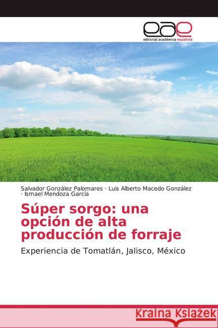 Súper sorgo: una opción de alta producción de forraje : Experiencia de Tomatlán, Jalisco, México González Palomares, Salvador; Macedo González, Luis Alberto; Mendoza García, Ismael 9786200366979