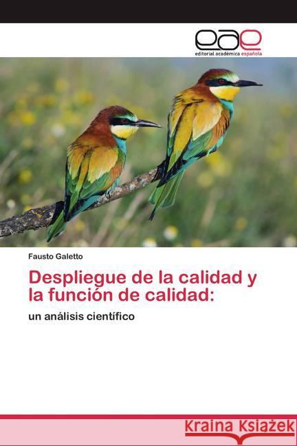 Despliegue de la calidad y la función de calidad: : un análisis científico Galetto, Fausto 9786200370815