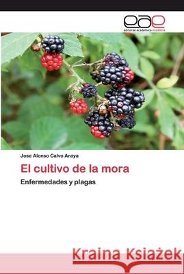 El cultivo de la mora Jose Alonso Calvo Araya 9786200376312