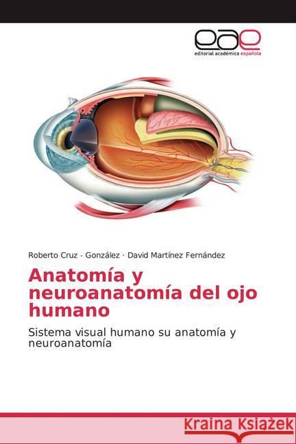 Anatomía y neuroanatomía del ojo humano : Sistema visual humano su anatomía y neuroanatomía Cruz - González, Roberto; Martínez Fernández, David 9786200382764