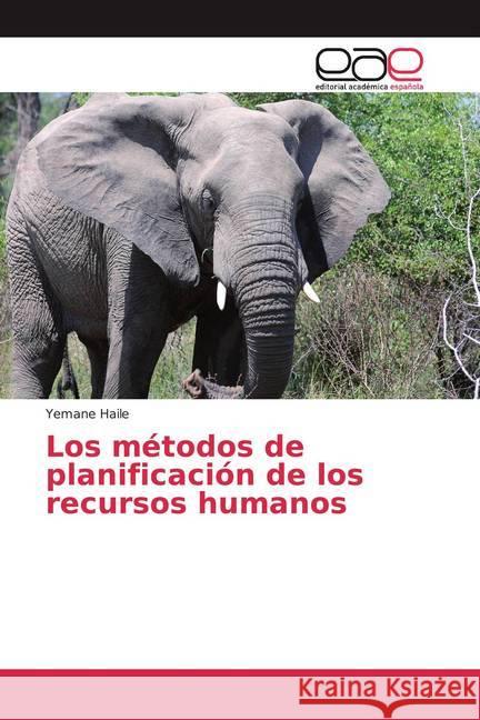 Los métodos de planificación de los recursos humanos Haile, Yemane 9786200384836