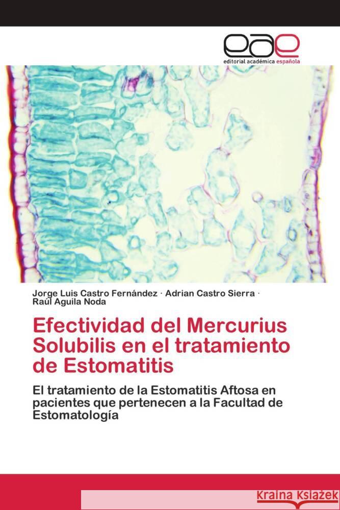 Efectividad del Mercurius Solubilis en el tratamiento de Estomatitis Castro Fernández, Jorge Luis, Castro Sierra, Adrian, Aguila Noda, Raúl 9786200384881