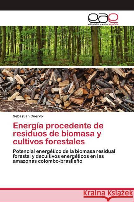 Energía procedente de residuos de biomasa y cultivos forestales Cuervo, Sebastian 9786200419033