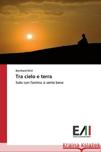 Tra cielo e terra : Solo con l'anima si sente bene Wild, Bernhard 9786200551610 Edizioni Accademiche Italiane