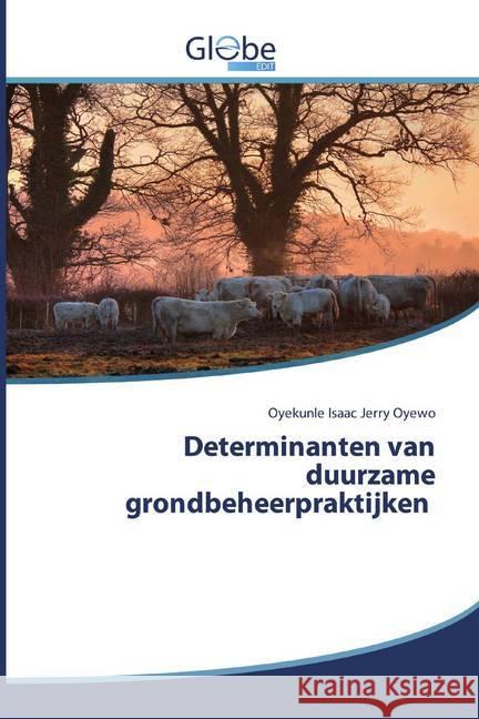 Determinanten van duurzame grondbeheerpraktijken Oyewo, Oyekunle Isaac Jerry 9786200591357