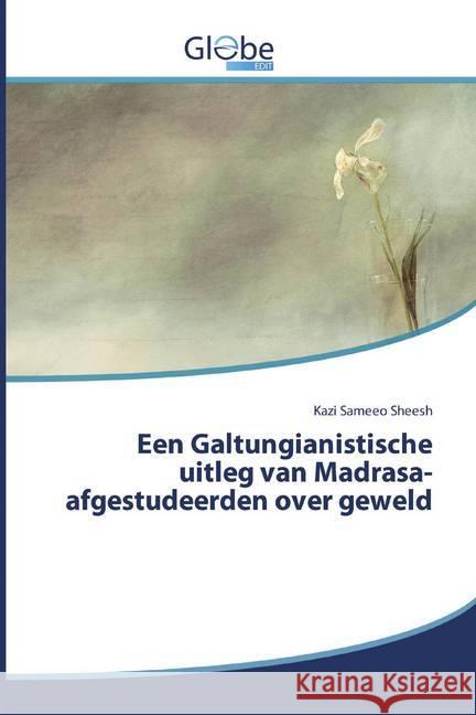 Een Galtungianistische uitleg van Madrasa-afgestudeerden over geweld Sheesh, Kazi Sameeo 9786200592071