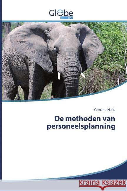 De methoden van personeelsplanning Haile, Yemane 9786200595362