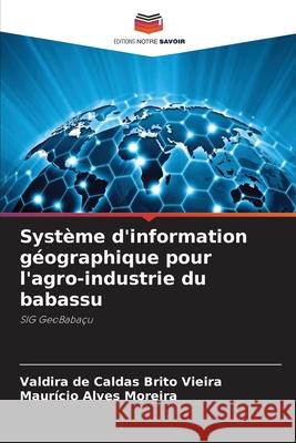 Système d'information géographique pour l'agro-industrie du babassu de Caldas Brito Vieira, Valdira, Alves Moreira, Maurício 9786200743053