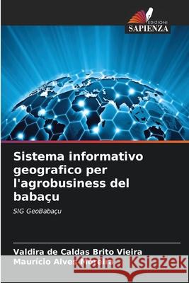 Sistema informativo geografico per l'agrobusiness del babaçu de Caldas Brito Vieira, Valdira, Alves Moreira, Maurício 9786200743084