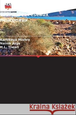 Cartographie avancée de l'érosion par la fusion des SIG et des réseaux neuronaux Mishra, Kartikeya, Arya, Nainik, Tiwari, H.L. 9786200766854