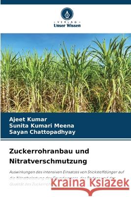 Zuckerrohranbau und Nitratverschmutzung Kumar, Ajeet, Kumari Meena, Sunita, Chattopadhyay, Sayan 9786200846976 Verlag Unser Wissen