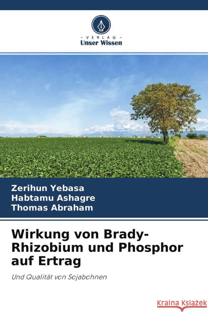 Wirkung von Brady-Rhizobium und Phosphor auf Ertrag : Und Qualität von Sojabohnen Yebasa, Zerihun; Ashagre, Habtamu; Abraham, Thomas 9786200867575 Sciencia Scripts