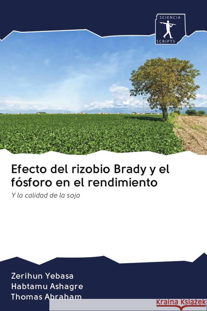 Efecto del rizobio Brady y el fósforo en el rendimiento : Y la calidad de la soja Yebasa, Zerihun; Ashagre, Habtamu; Abraham, Thomas 9786200867629 Sciencia Scripts
