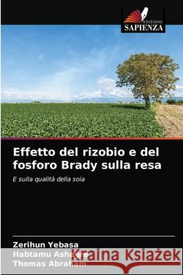 Effetto del rizobio e del fosforo Brady sulla resa Zerihun Yebasa, Habtamu Ashagre, Thomas Abraham 9786200867667 Edizioni Sapienza