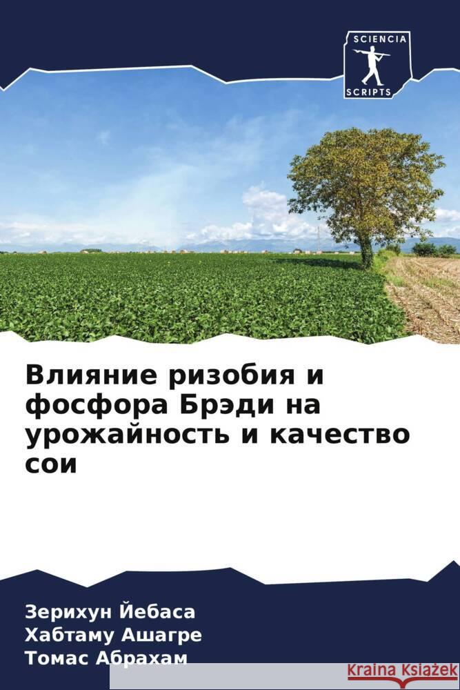 Vliqnie rizobiq i fosfora Brädi na urozhajnost' i kachestwo soi Jebasa, Zerihun; Ashagre, Habtamu; Abraham, Tomas 9786200867704 Sciencia Scripts