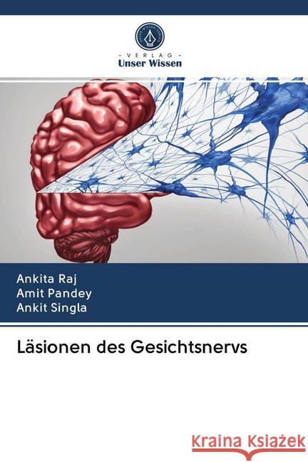 Läsionen des Gesichtsnervs Raj, Ankita; Pandey, Amit; Singla, Ankit 9786200984562