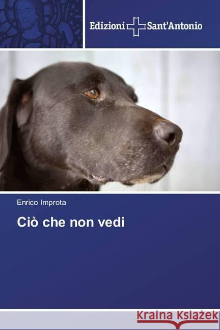 Ciò che non vedi Improta, Enrico 9786202000895 Edizioni Sant' Antonio