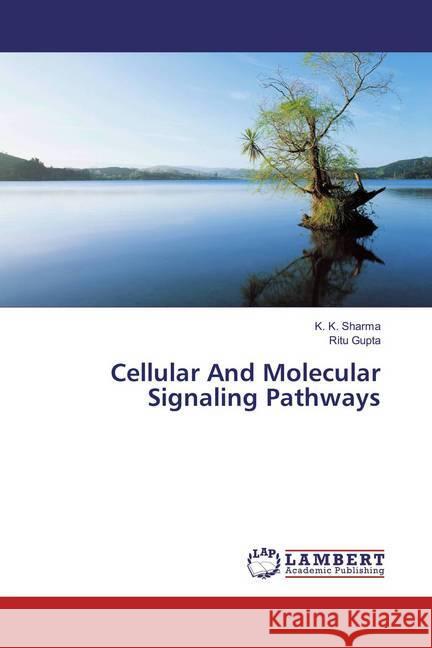 Cellular And Molecular Signaling Pathways Sharma, K. K.; Gupta, Ritu 9786202025454 LAP Lambert Academic Publishing