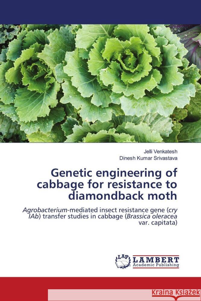 Genetic engineering of cabbage for resistance to diamondback moth Venkatesh, Jelli, Srivastava, Dinesh Kumar 9786202028509