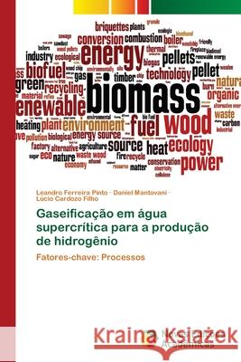 Gaseificação em água supercrítica para a produção de hidrogênio Ferreira Pinto, Leandro 9786202036825