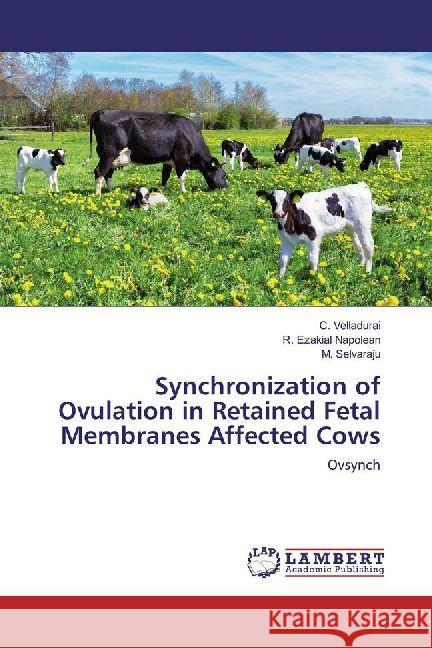 Synchronization of Ovulation in Retained Fetal Membranes Affected Cows : Ovsynch Velladurai, C.; Napolean, R. Ezakial; Selvaraju, M. 9786202063548 LAP Lambert Academic Publishing