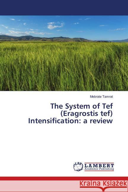 The System of Tef (Eragrostis tef) Intensification: a review Tamrat, Mebrate 9786202082082 LAP Lambert Academic Publishing