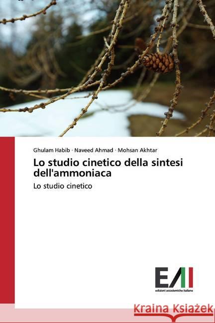 Lo studio cinetico della sintesi dell'ammoniaca : Lo studio cinetico Habib, Ghulam; Ahmad, Naveed; Akhtar, Mohsan 9786202088947