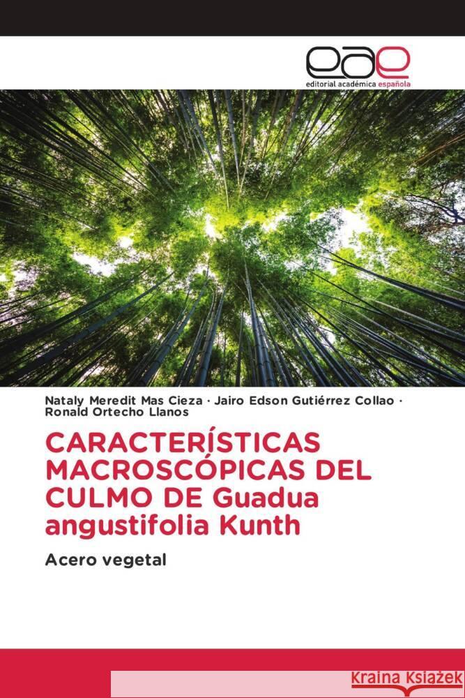 CARACTERÍSTICAS MACROSCÓPICAS DEL CULMO DE Guadua angustifolia Kunth Mas Cieza, Nataly Meredit, Gutiérrez Collao, Jairo Edson, Ortecho Llanos, Ronald 9786202099370 Editorial Académica Española